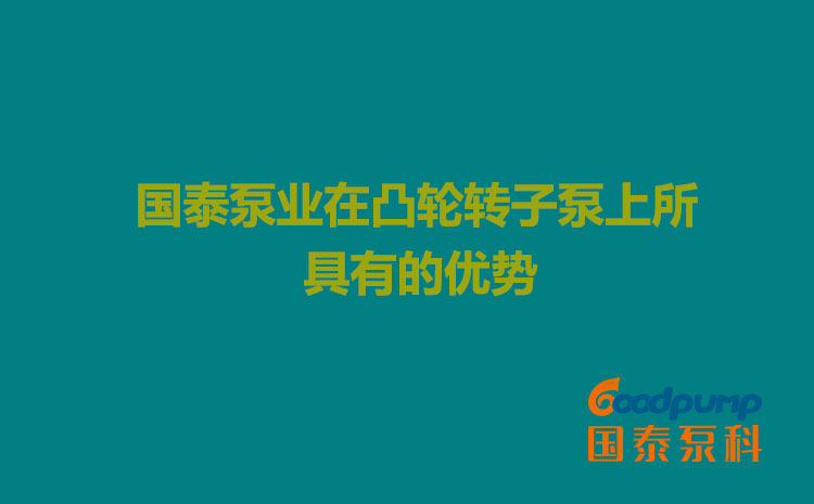 羞羞视频在线播放泵業在凸輪羞羞视频成人网站上所具有的優勢